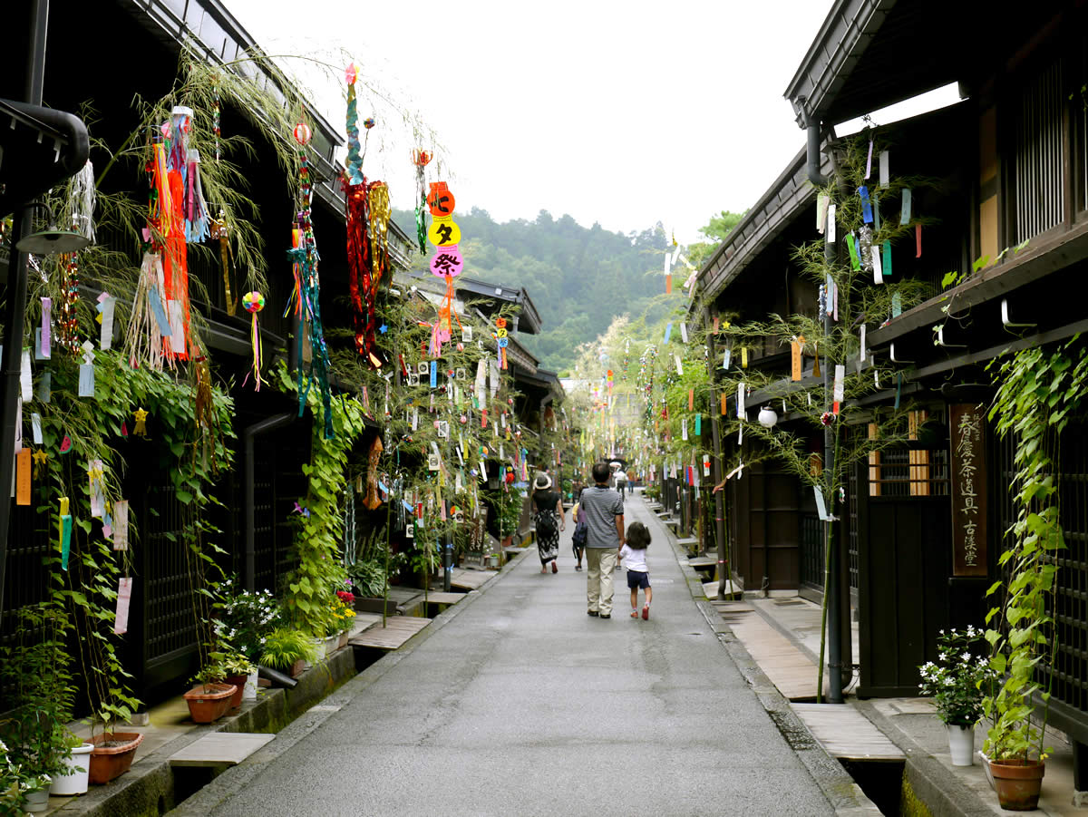 Hida Soja