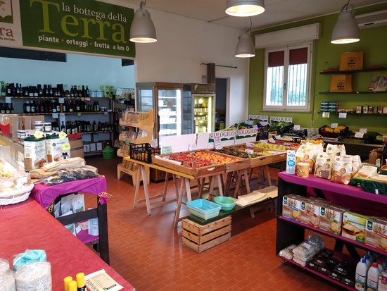 La bottega della terra