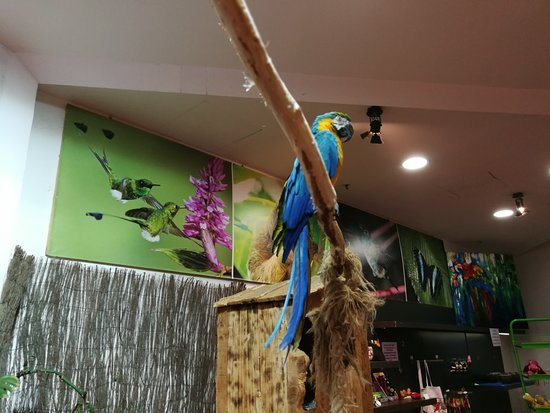 Centro Colibri Di Margherita Hack