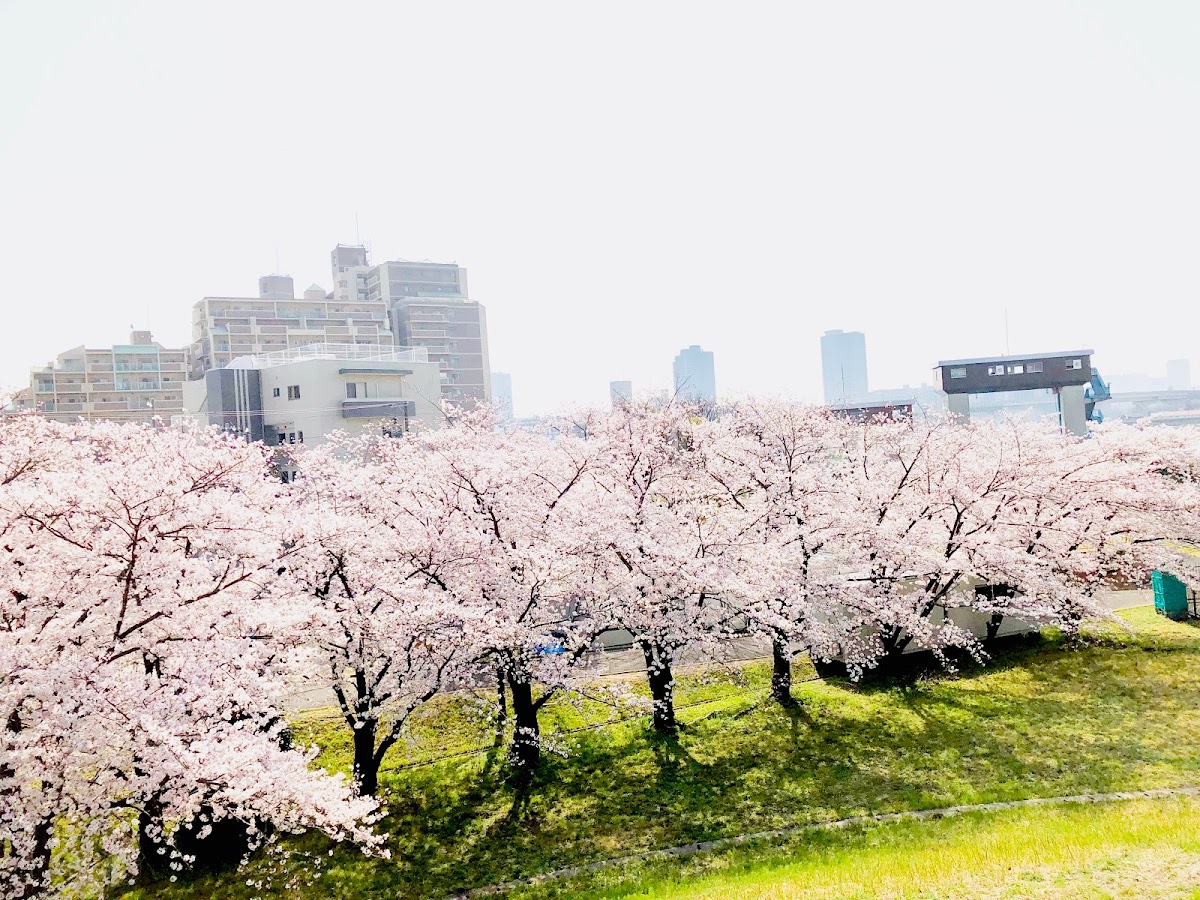 Yodogawa Kasen Park