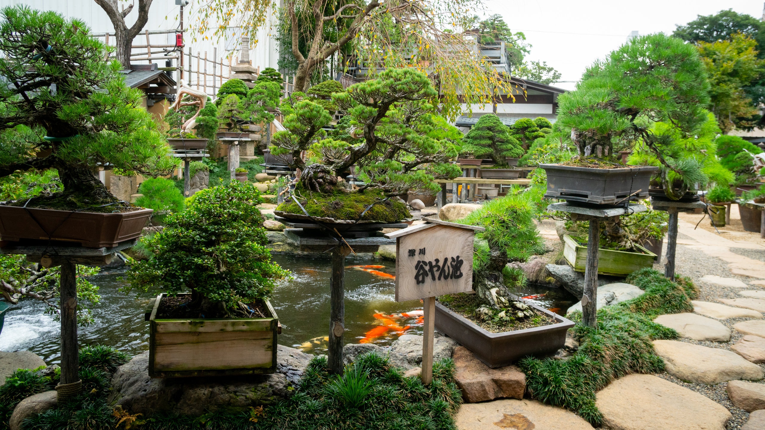 Shunkaen BONSAI Museum