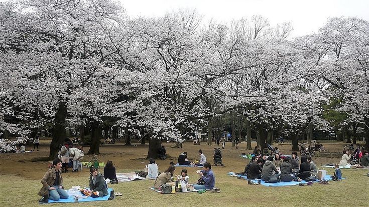 Yoyogi Fukamachisho Park