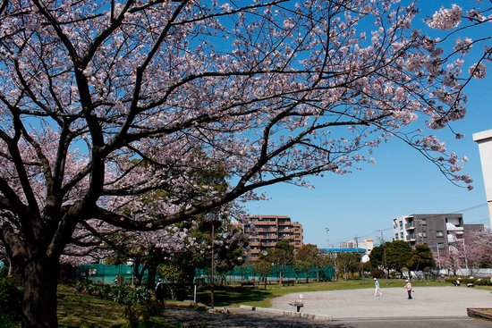 Morigasaki Park