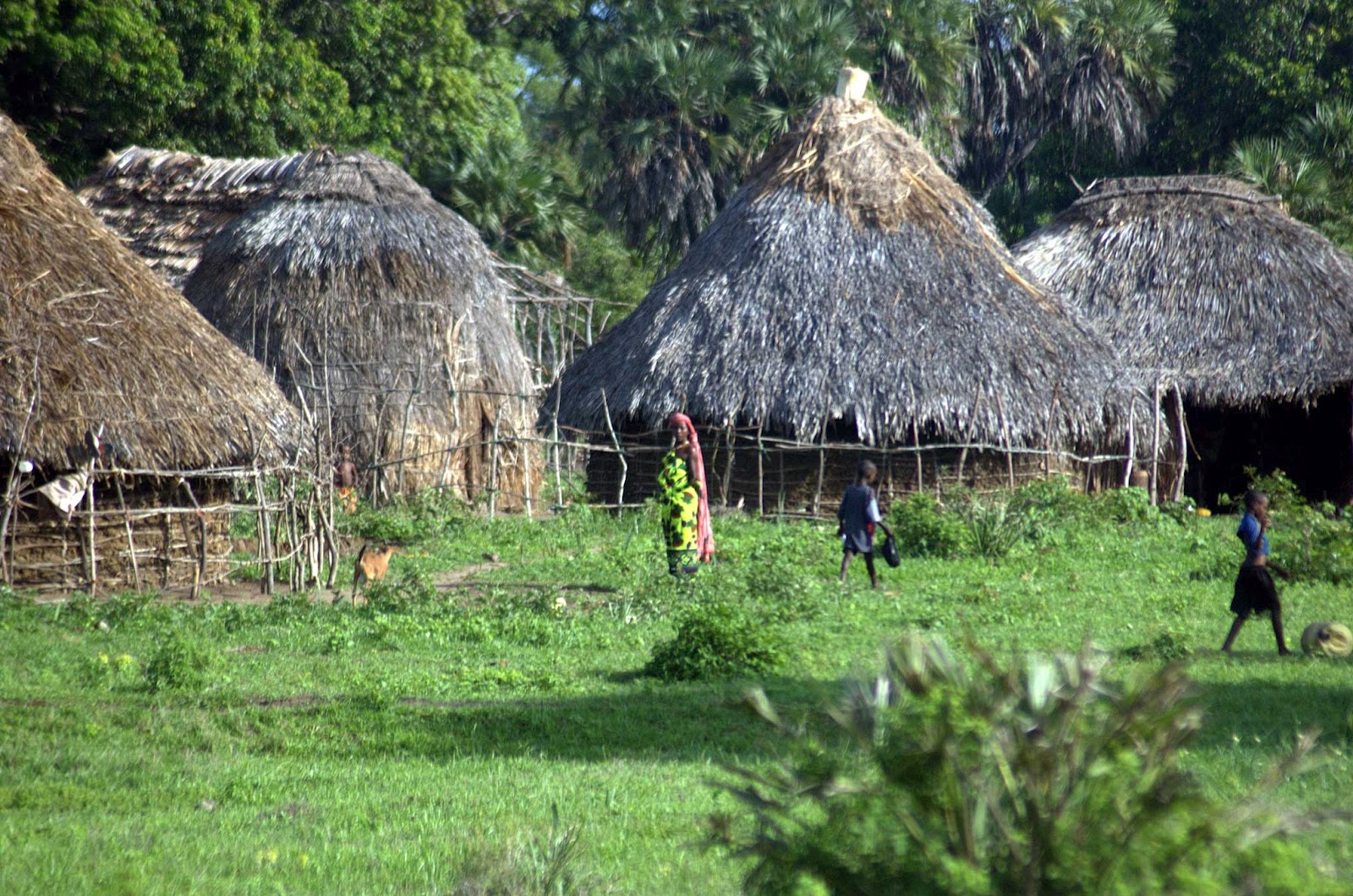 Sacred Mijikenda Kaya Forests