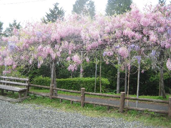 Miyama no Sato Shinrin Park