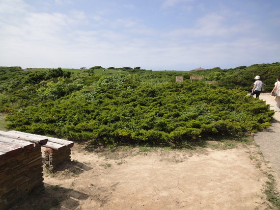 Yagishiri Island