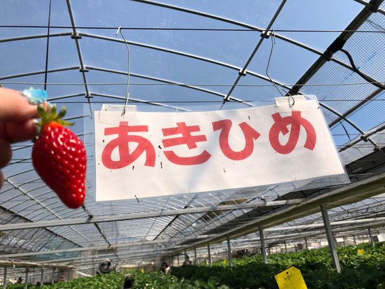 Yasuda Strawberry Farm