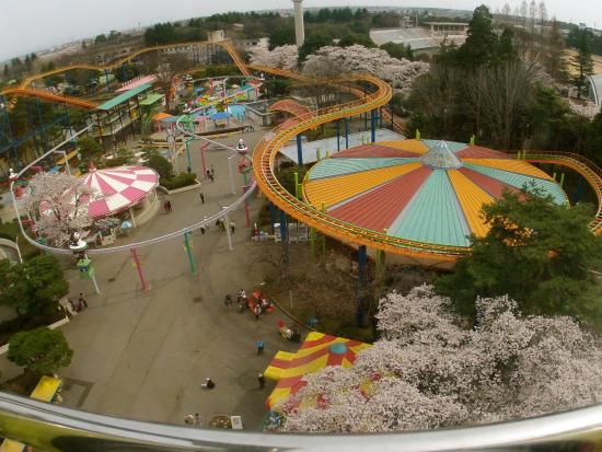 Tochinoki Family Land