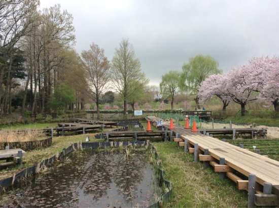 Ageo Maruyama Park