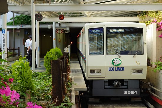 Leo Liner