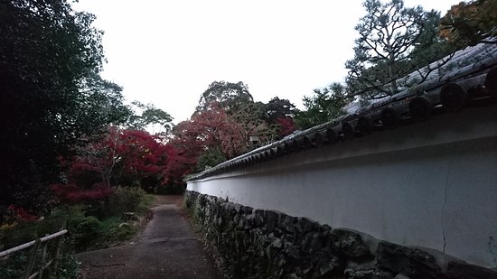 Tozenin Temple
