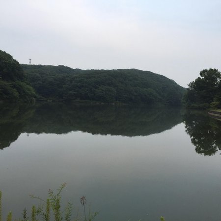 Hatchoko Park