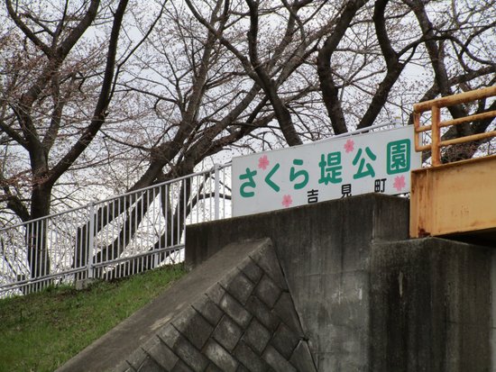 Sakuratsutsumi Park