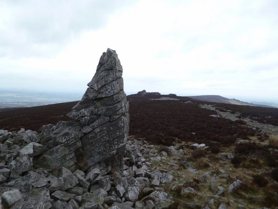 Stiperstones Nature Reserve