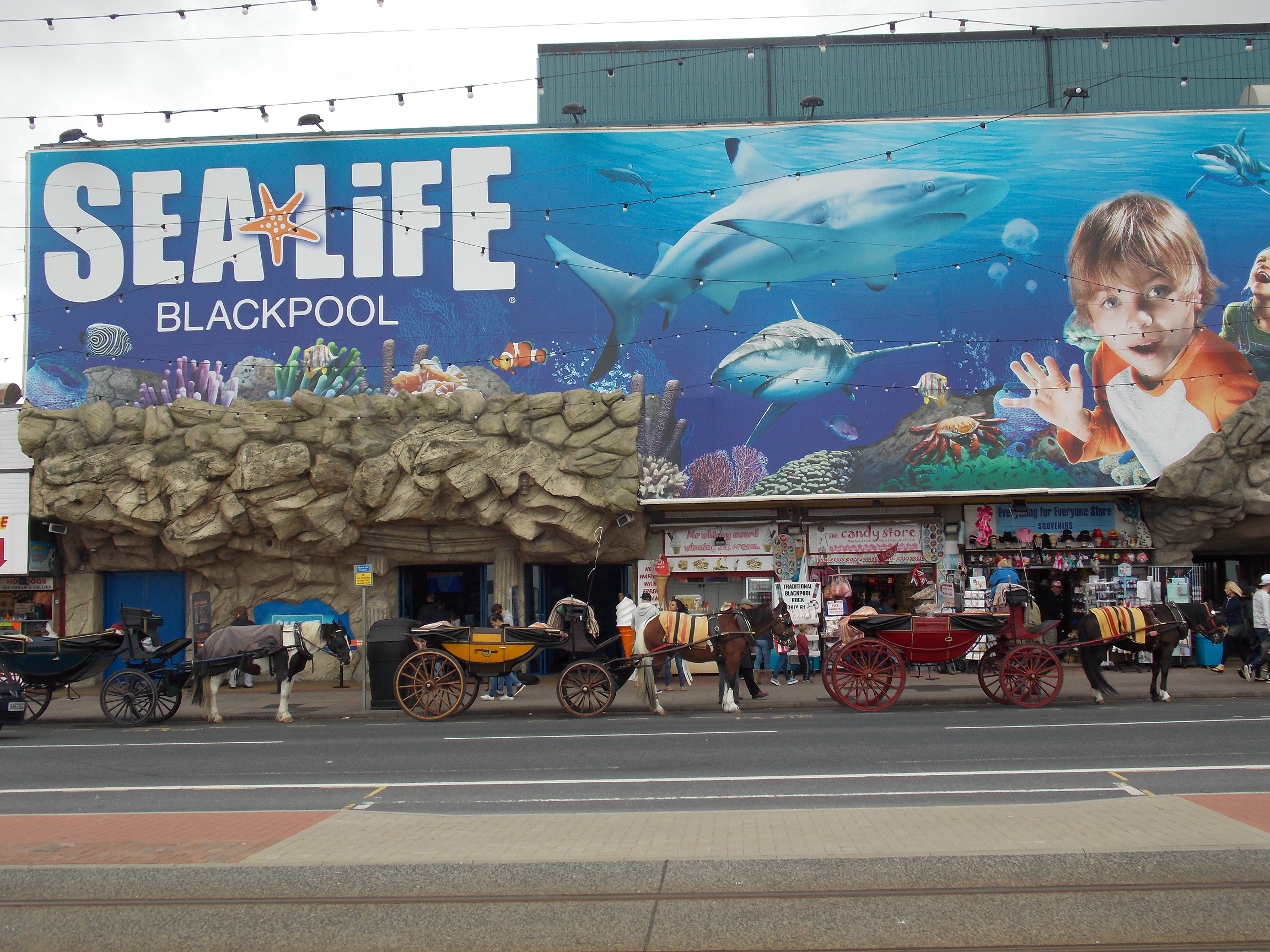 Sea Life Blackpool