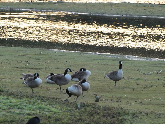Sevenoaks Wildlife Reserve