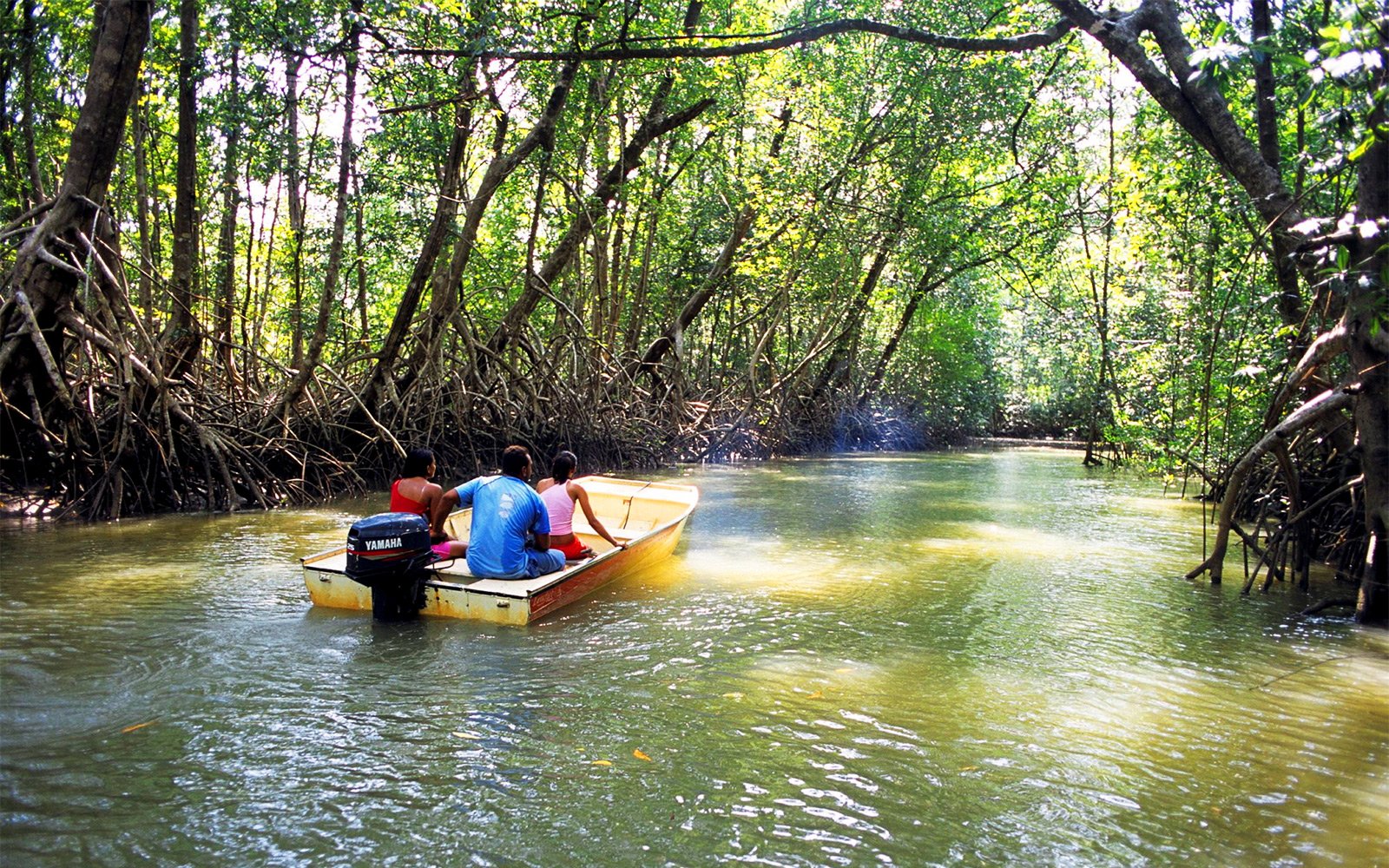 Eastern Mangrove Lagoon National Park