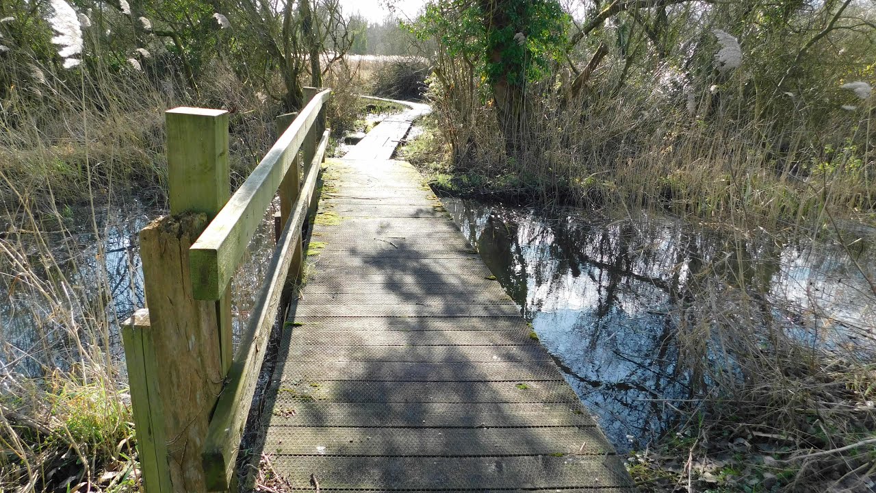 Wheatfen Nature Reserve Surlingham