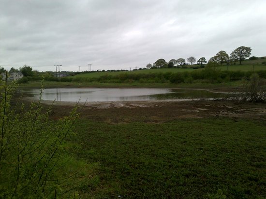 Firsby Common Local Nature Reserve