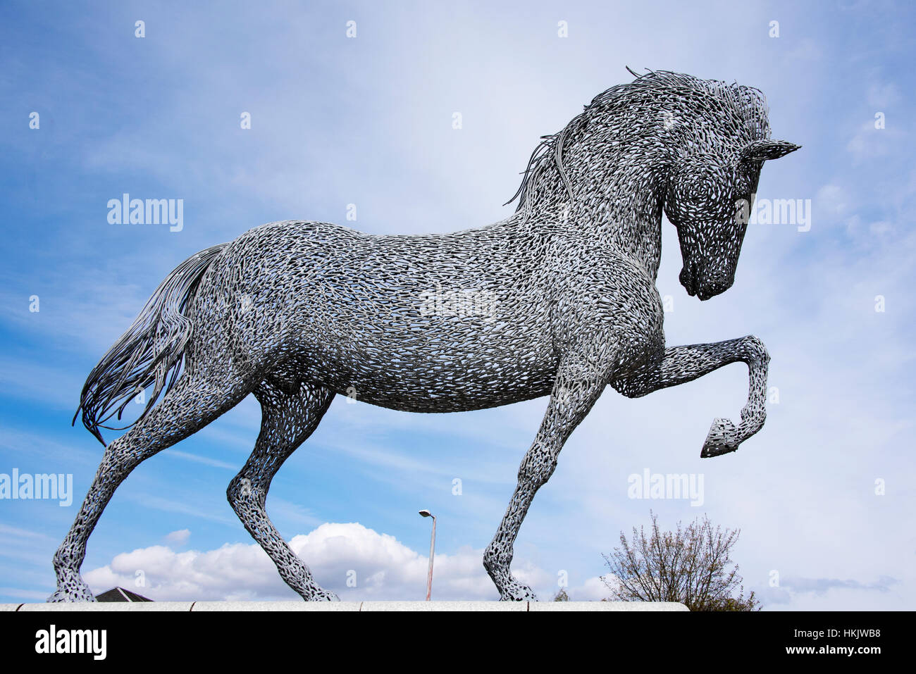 Ginger the Horse
