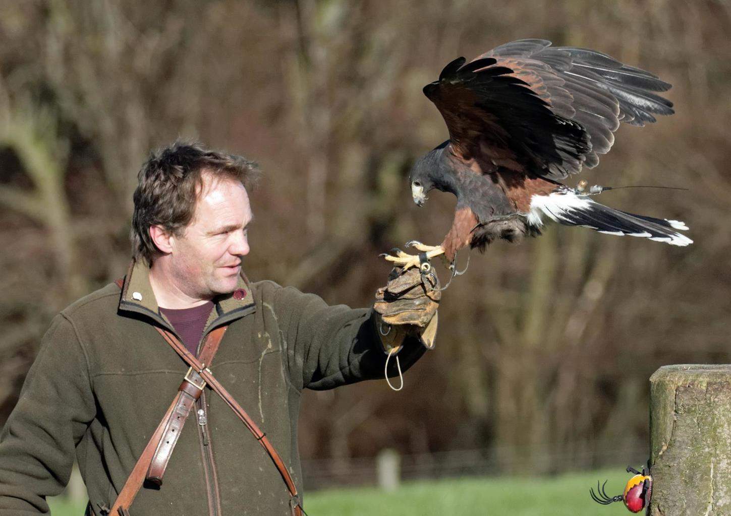 National Centre for Birds of Prey