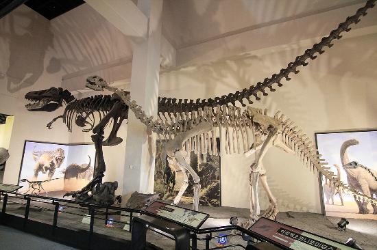 Goseong Dinosaur Museum
