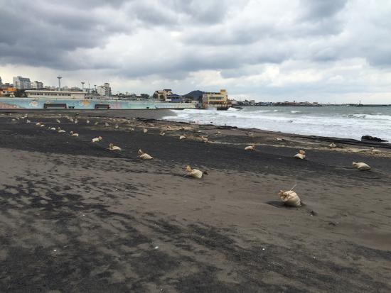 Samyang Black Sand Beach