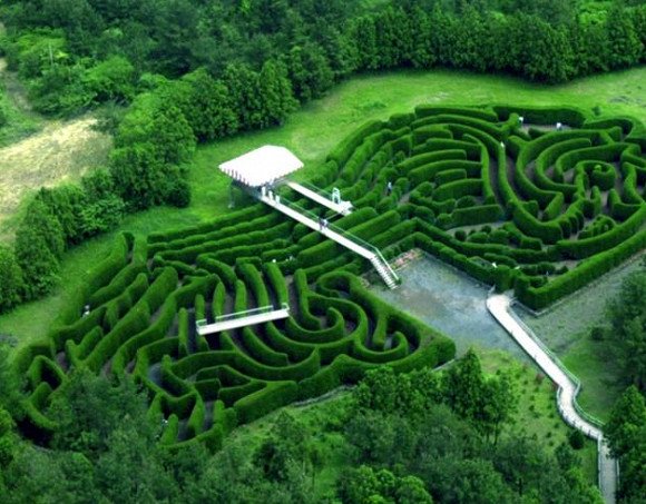 Jeju Kimnyoung Maze Park