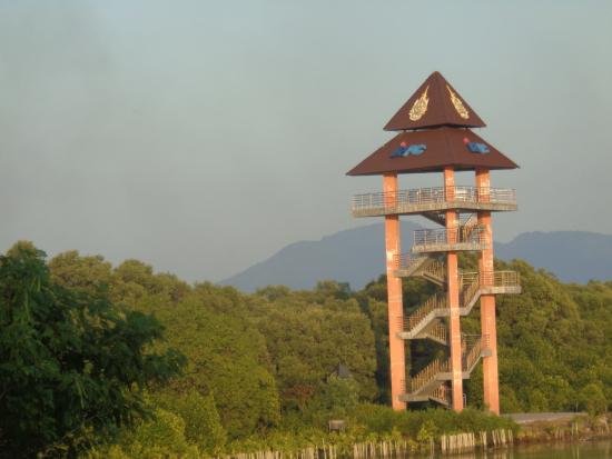 Sky View Tower and Mangrove Research Center