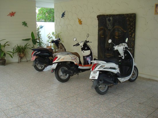 Mr Moo Bikes & Boats