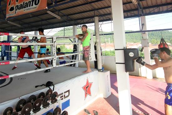 Muay Thai Resort - Day classes