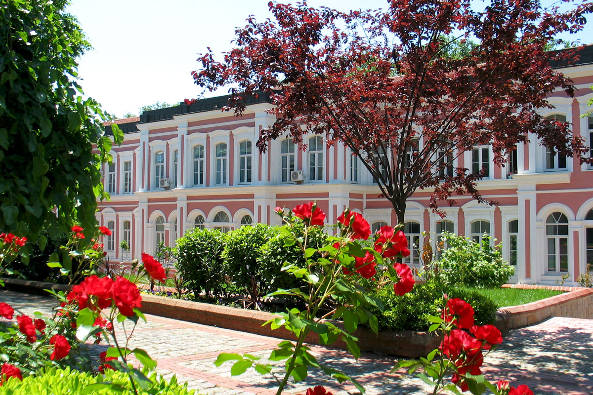 Yildiz Technical University
