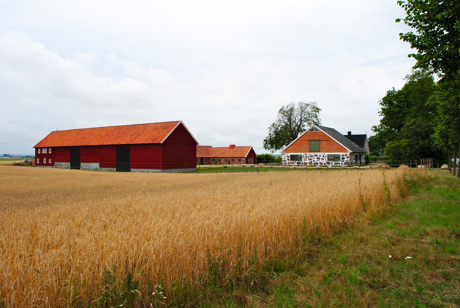Donghai Farm