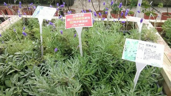 Artemis Garden