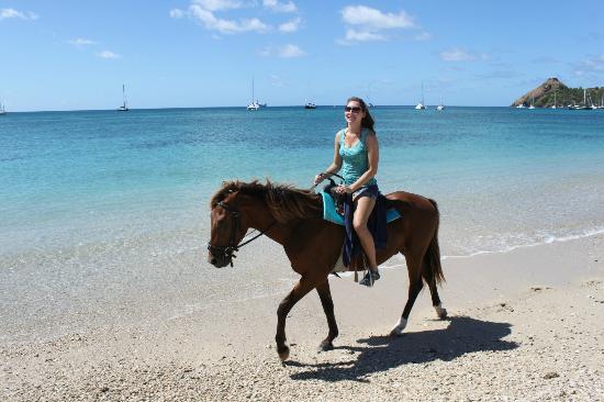 Island Riders