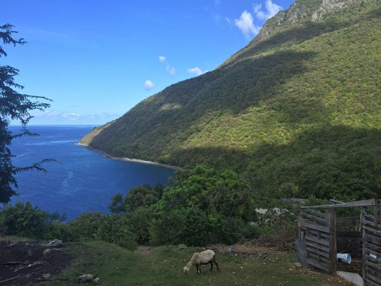 Saint Lucia Shuttle
