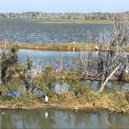 Aogu Wetlands and Forest Park