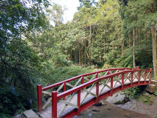 Mawudu Forest