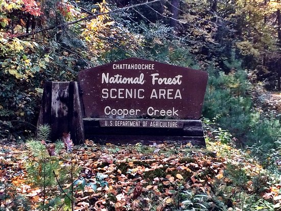 Chattahoochee National Forest