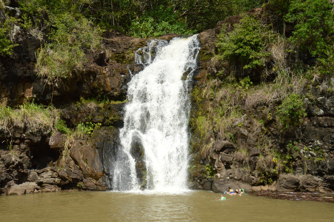 Waimea Waterfall