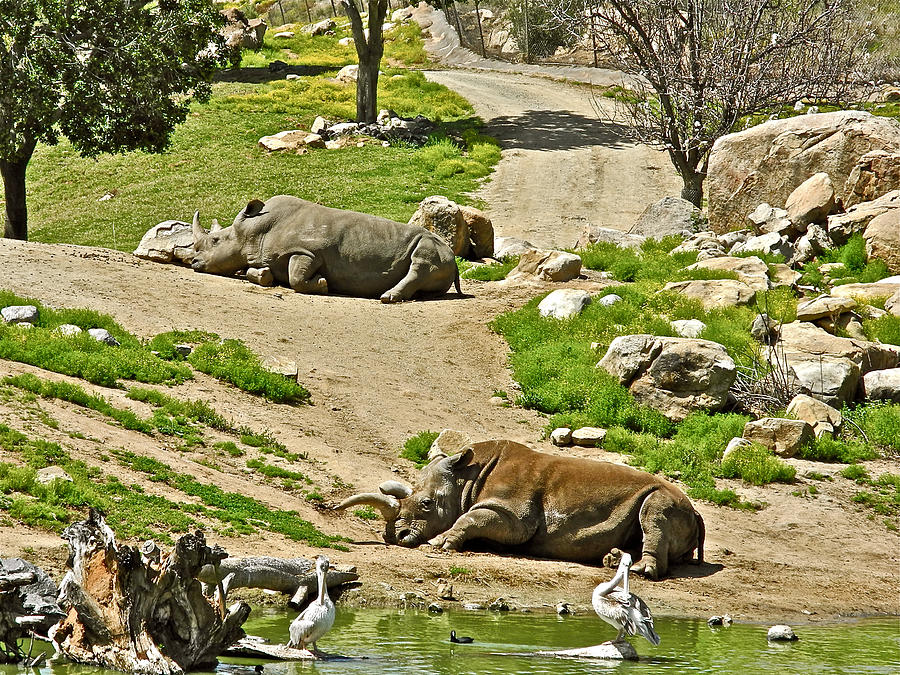 San Diego Zoo Safari Park