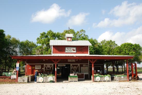 Hunsader Farms