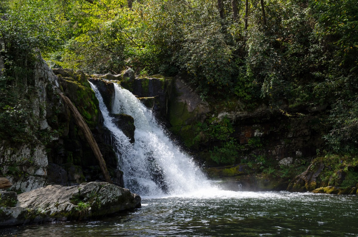 Two Inlets State Forest