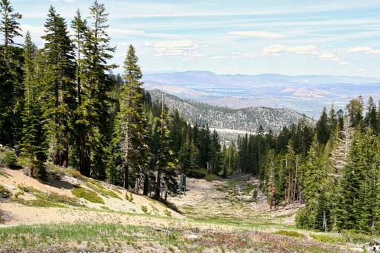 Tahoe Meadows Trail