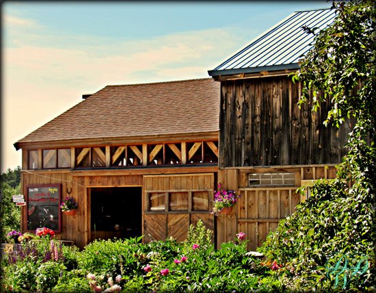 McKenzie's Farm