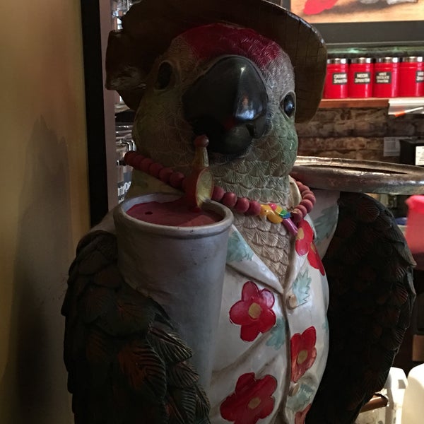 The Perky Parrot After Dark