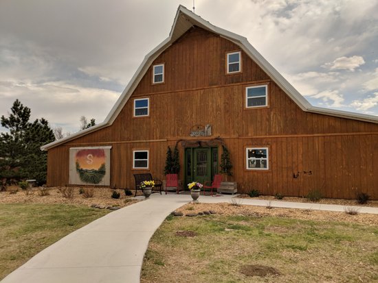 Shiloh Vineyard