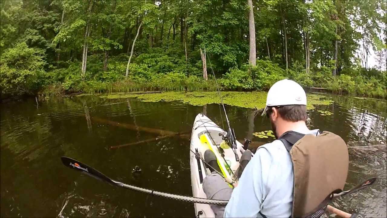 Brown State Fishing Lake and Wildlife Area