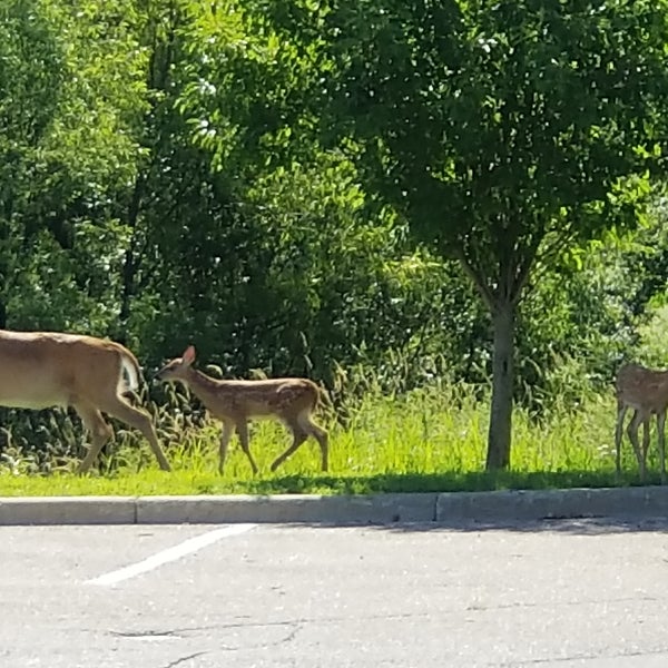 Lake Minnewashta Regional Park