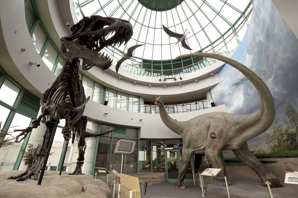 North Carolina Museum of Natural Sciences